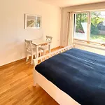 Haus-ventus *